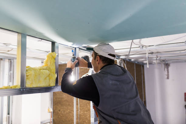 Best Geographic-Specific Insulation Services in Atmore, AL