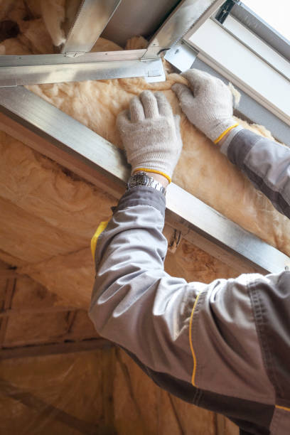 Professional Insulation Contractor in Atmore, AL