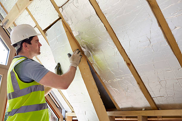 Best Geographic-Specific Insulation Services in Atmore, AL